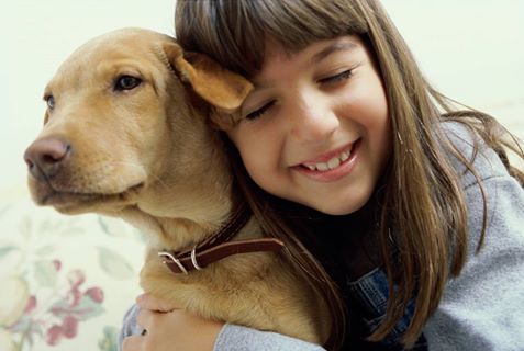 Laverton Veterinary Clinic - Laverton , Australia