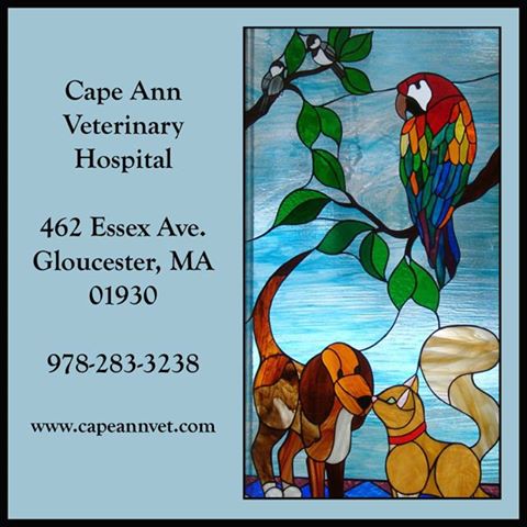 Cape Ann Veterinary Hospital - Gloucester , United States