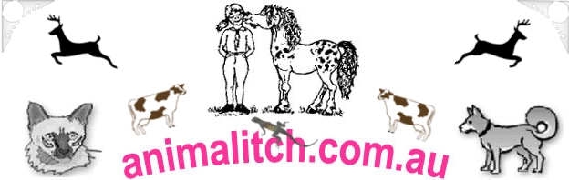 Animal Itch And Skin Remedies - Johns River , Australia