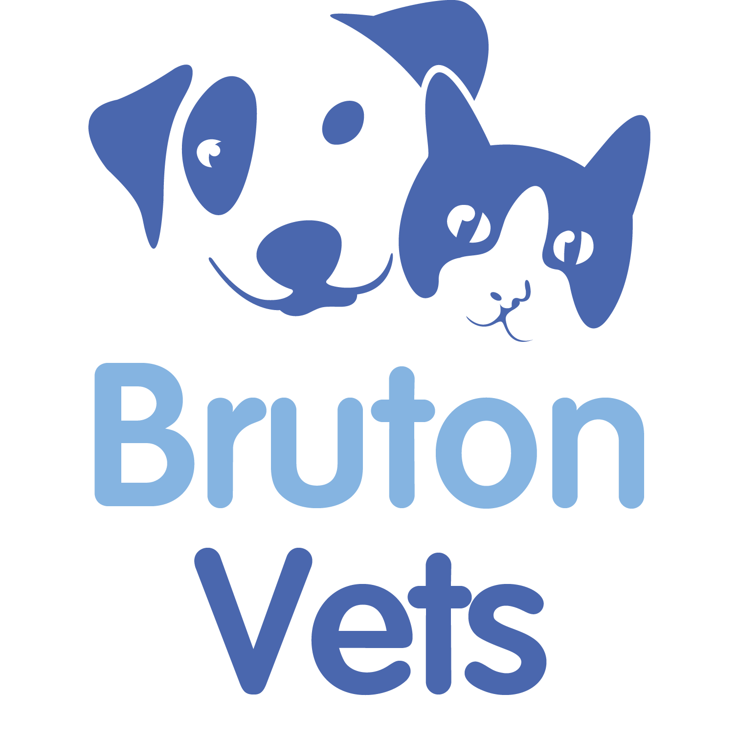 Bruton Veterinary Practice - Bruton , United Kingdom