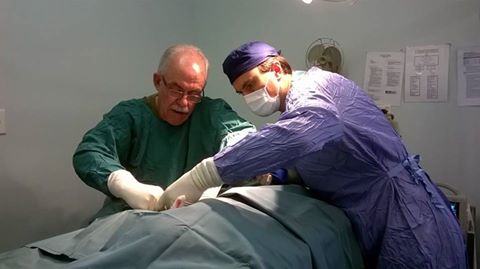 Kanwal Veterinary Hospital - Kanwal , Australia