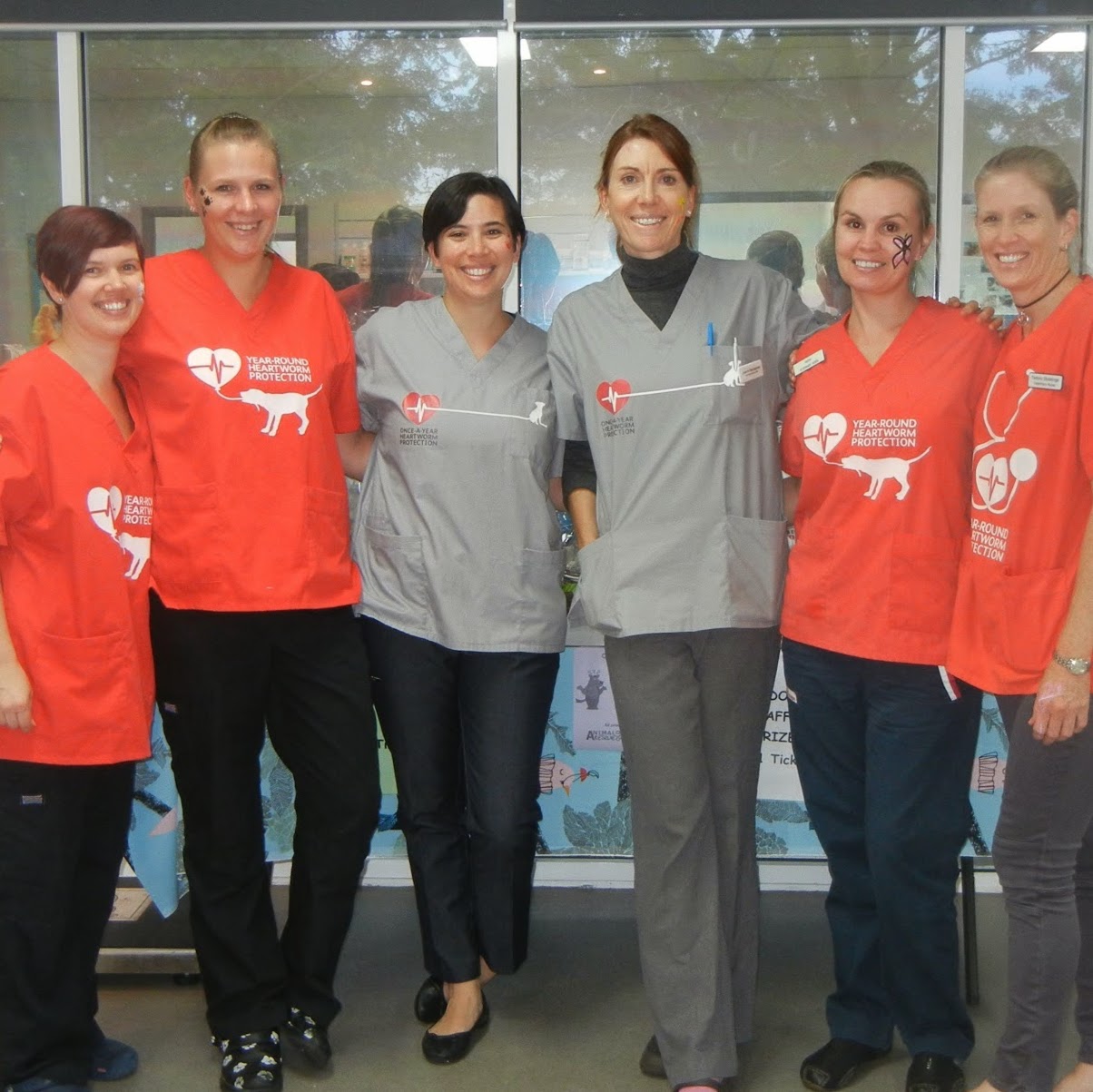 Carindale Veterinary Surgery - Mansfield , Australia