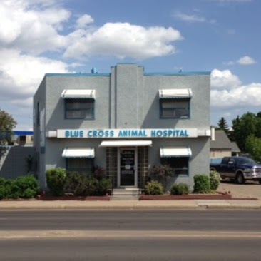 Blue Cross Animal Hospital - Edmonton , Canada