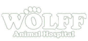 Nova Veterinary Clinic - Bloomington , United States