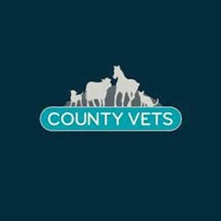 County Vets - Ayr , United Kingdom