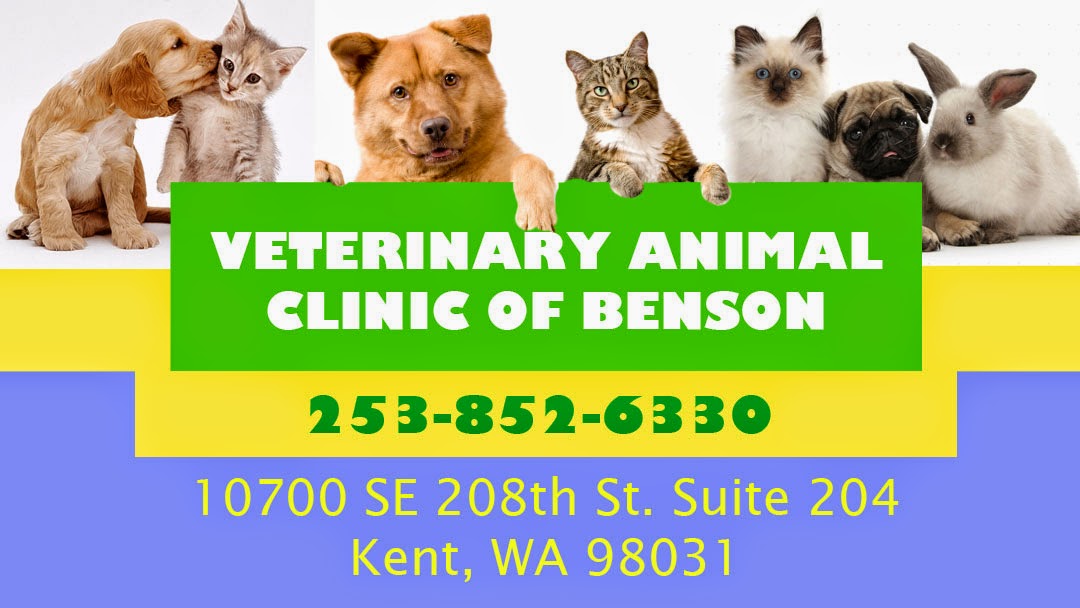 Animal Clinic Of Benson - Kent , United States