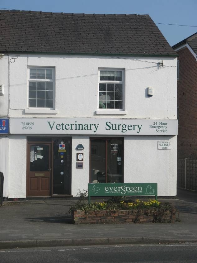 Evergreen Vets - Stockport , United Kingdom
