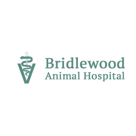 Bridlewood Animal Hospital - Kanata , Canada
