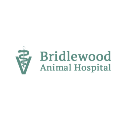 Eagleson 2024 animal hospital