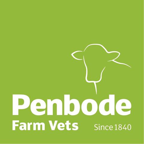 Holsworthy Farm Animal Care - Holsworthy , United Kingdom
