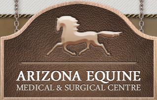 Arizona Equine Medical And Surgical Centre - Gilbert , United States