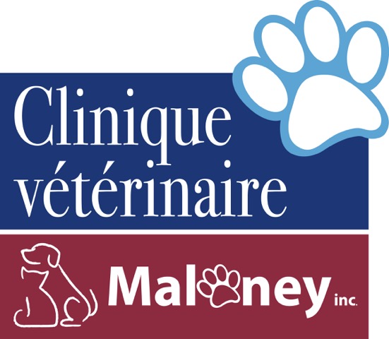 Clinique Vétérinaire Maloney - Gatineau , Canada