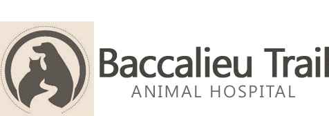 Baccalieu Trail Animal Hospital - Bay Roberts , Canada