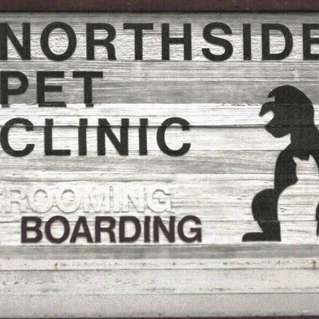 Northside Pet Clinic - Jackson , United States