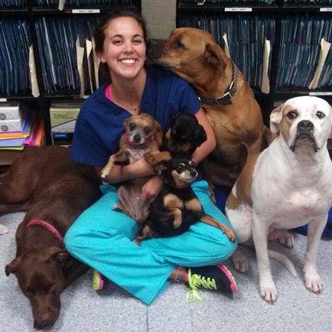 Destrehan Animal Hospital - Destrehan , United States