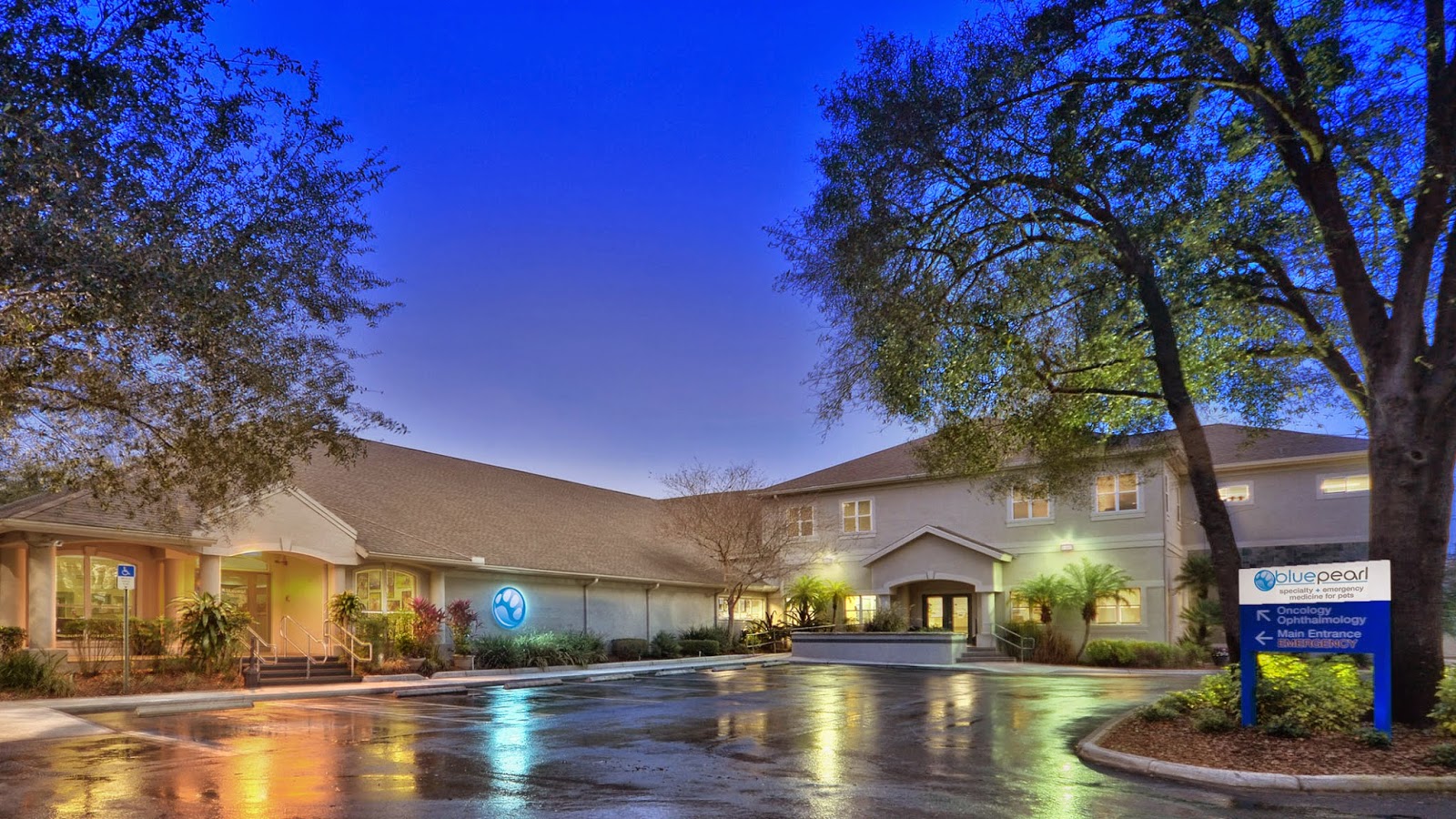 Bluepearl Pet Hospital Tampa - Tampa , United States