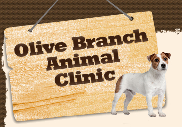 Olive Branch Animal Clinic - Olive Branch , United States
