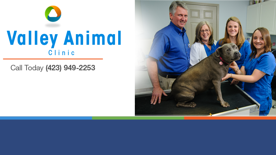 Valley Animal Clinic - Dunlap , United States