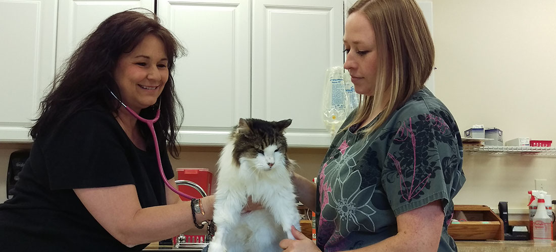 Liberty Lake Veterinary Center - Liberty Lake , United States