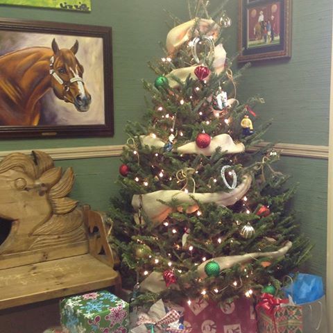 Coosa Valley Equine Center - Pell City , United States
