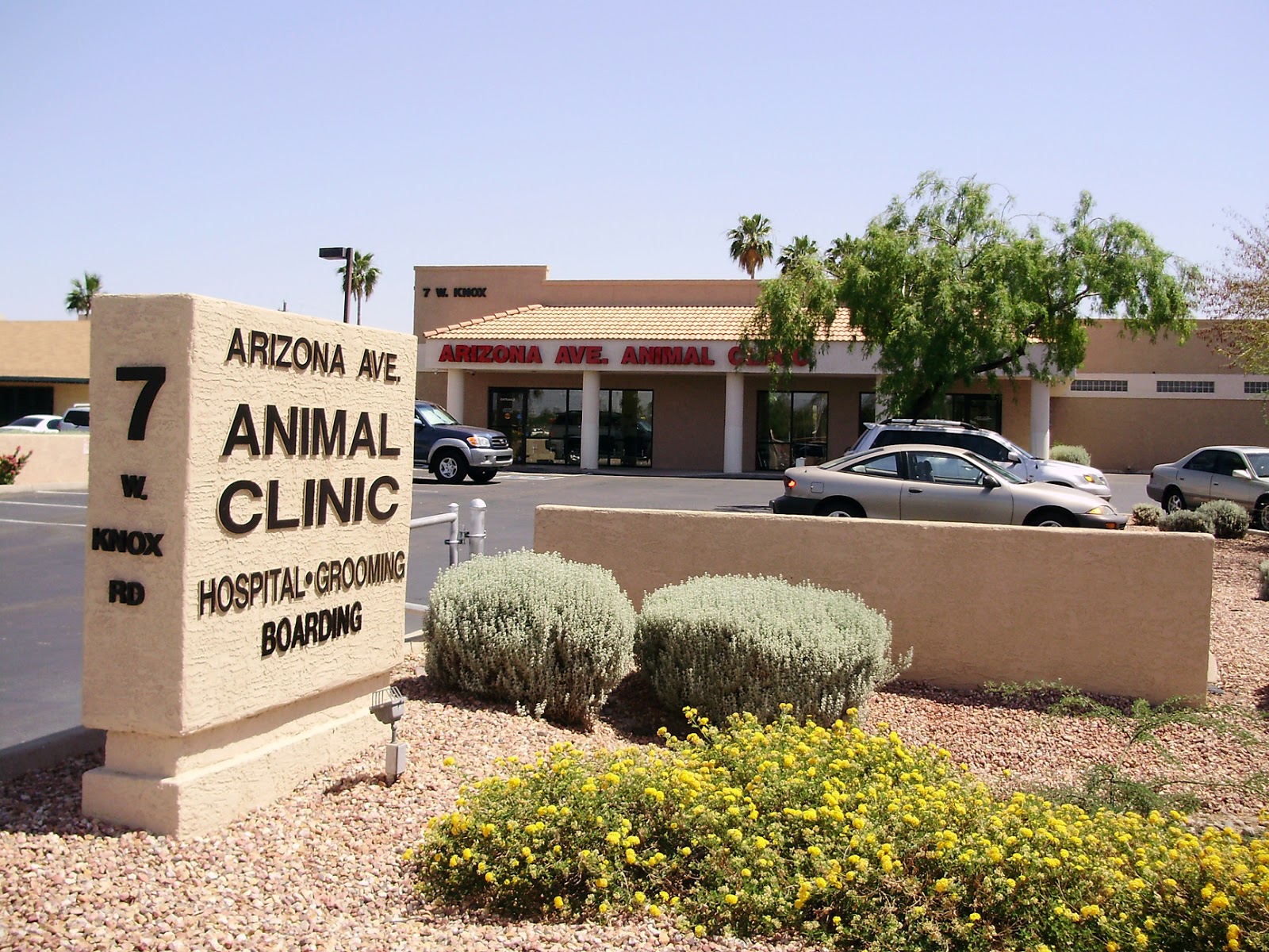 Arizona Avenue Animal Clinic - Chandler , United States