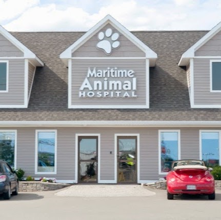 Maritime Animal Hospital Moncton - Moncton , Canada