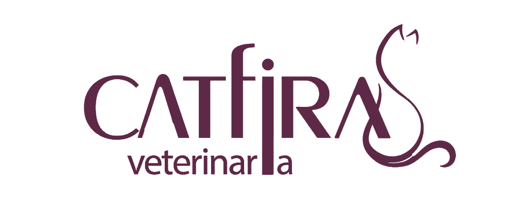 Catfiras Clínica Veterinaria - Golf del Sur , Spain
