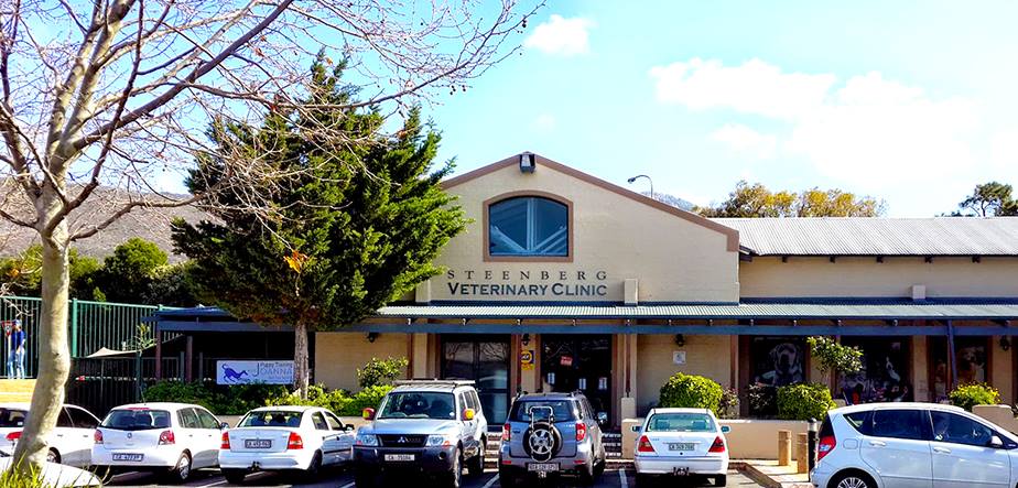 Westlake veterinary hot sale clinic