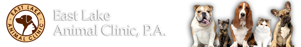 East Lake Animal Clinic - Minneapolis , United States
