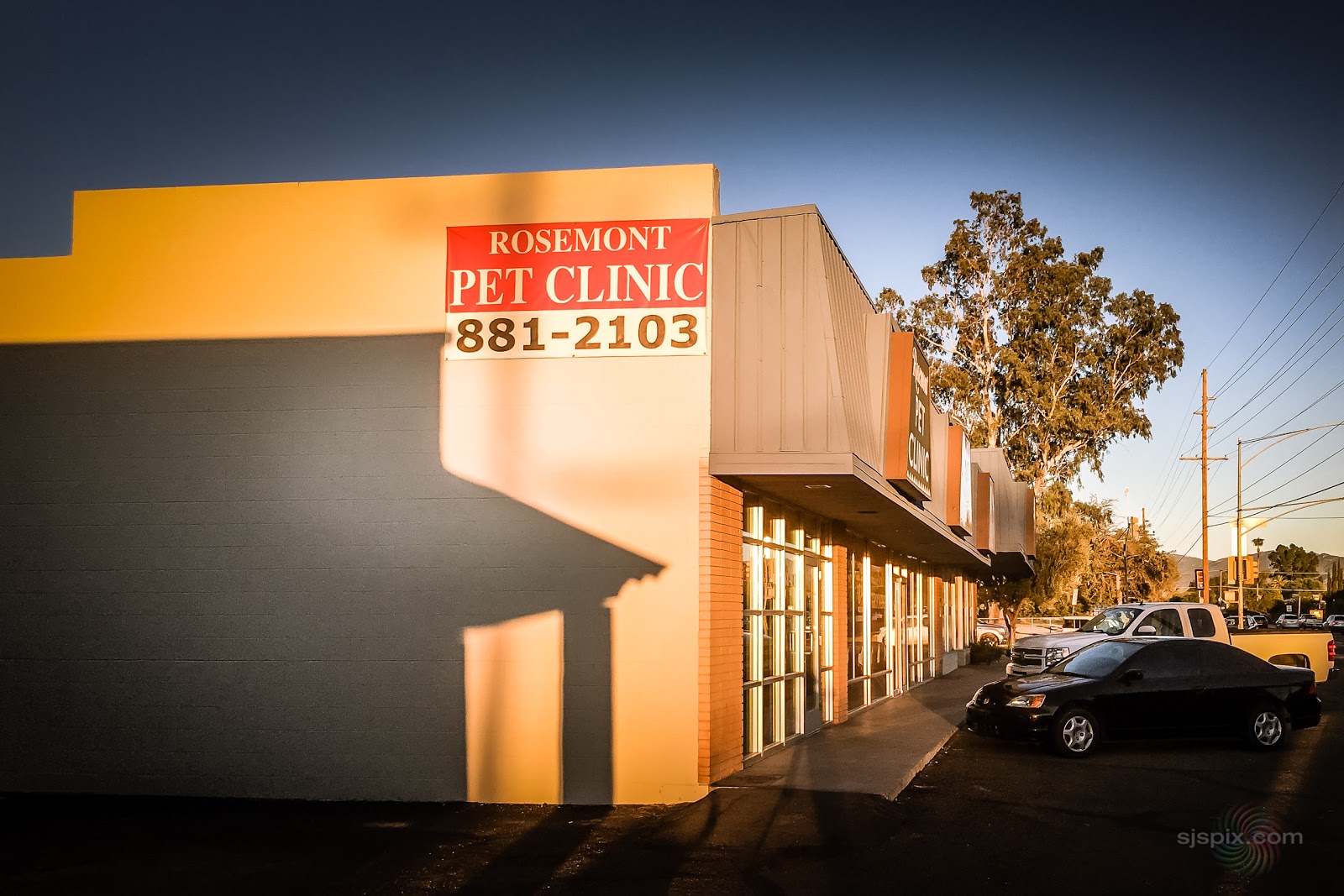 Rosemont Pet Clinic Of Tucson - Tucson , United States