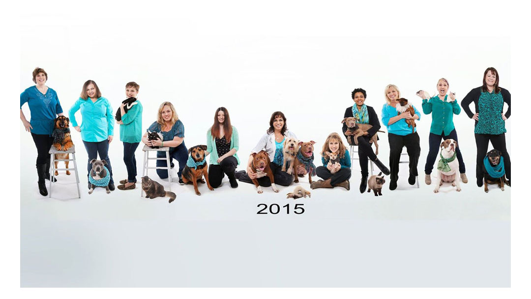 Forsyth Veterinary Hospital - Winston Salem , United States