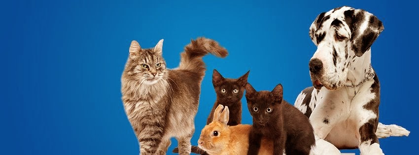 Pine Banks Animal Hospital - Malden , United States