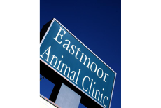 Eastmoor Animal Clinic - Moore , United States