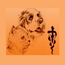 Shelbourne Pet Clinic - Victoria , Canada