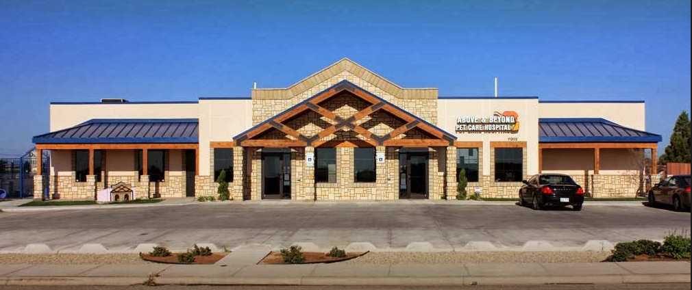 Above And Beyond Pet Care Hospital - Lubbock , United States