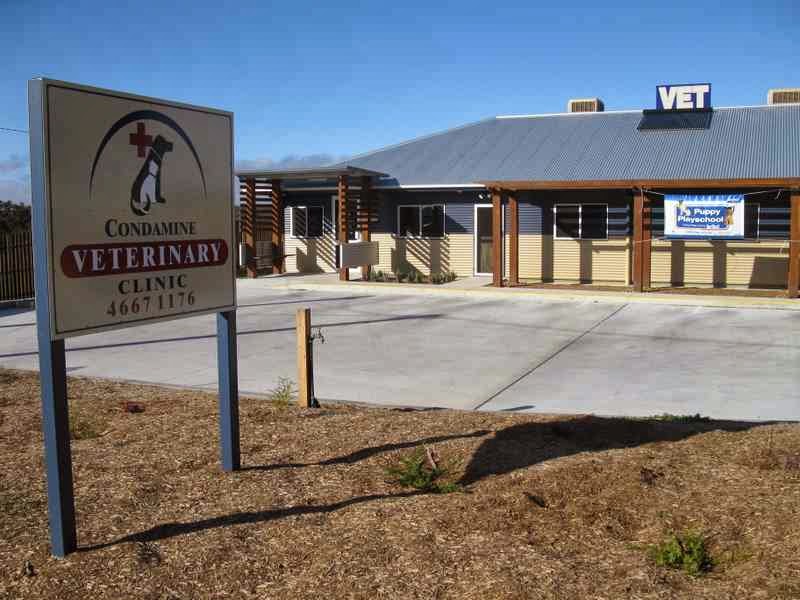 Condamine Veterinary Clinic - Warwick , Australia