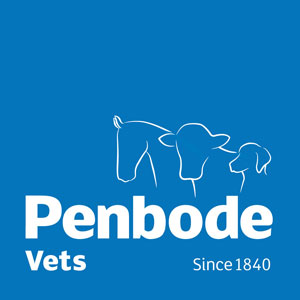 Penbode Vets Camelford Farm Animal And Pet Care - Camelford , United Kingdom