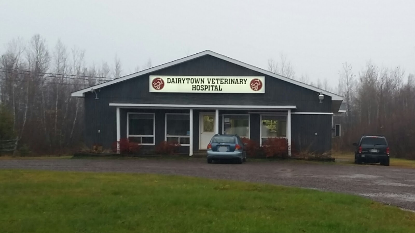 Dairytown Veterinary - Sussex , Canada