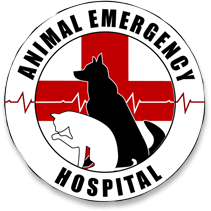 Animal Emergency Hospital - Burton , United States