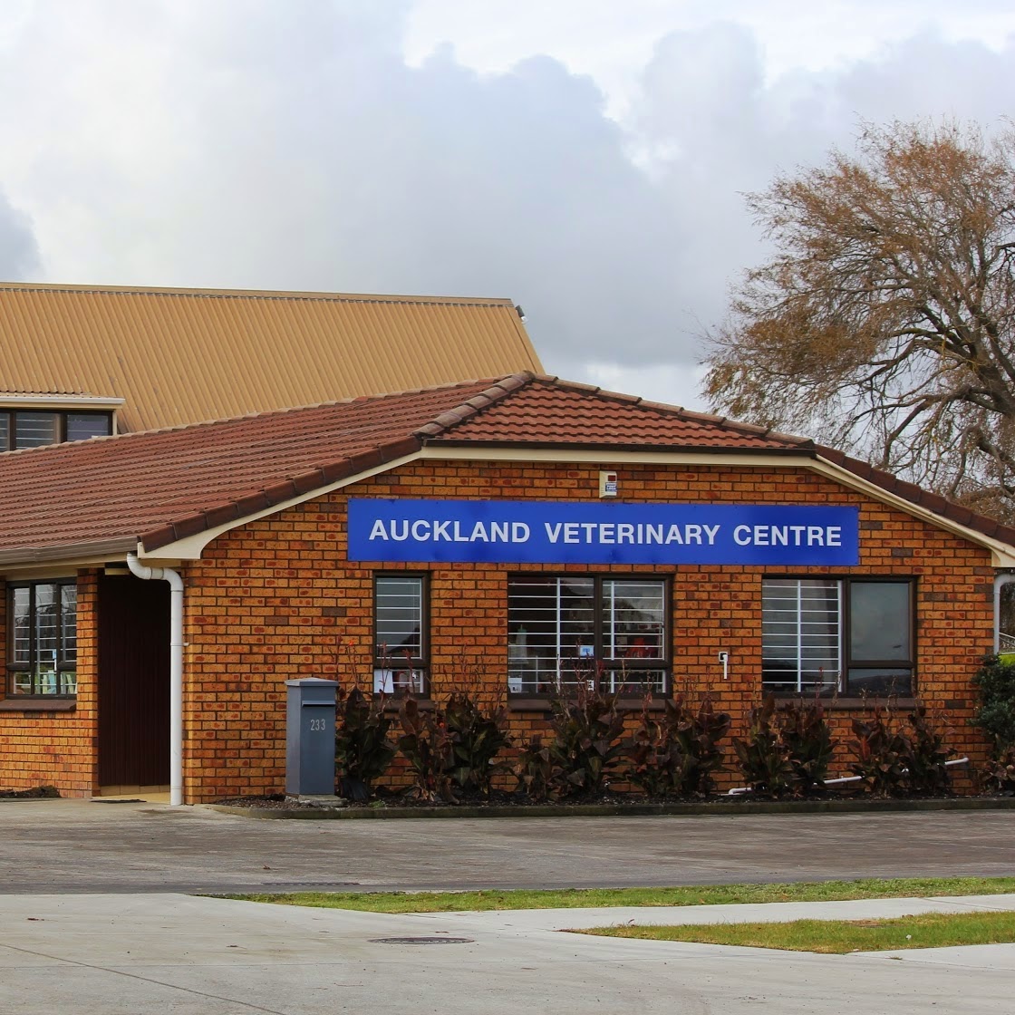 Vets Auckland Equine Performance Vets - Takanini , New Zealand