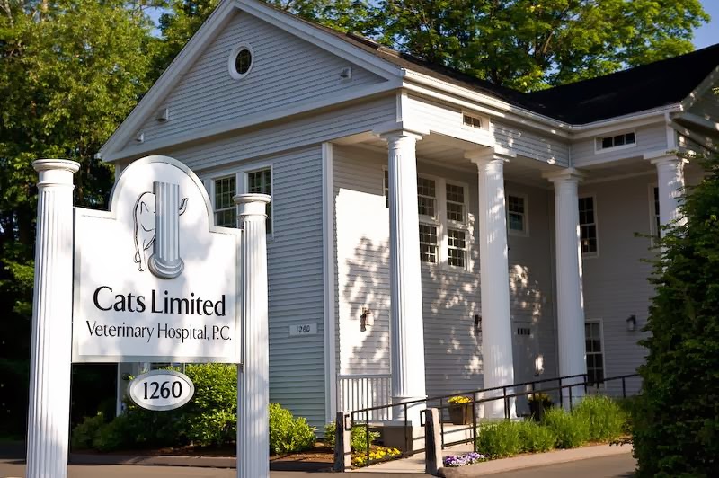 Cats Limited Veterinary Hospital - West Hartford , United States