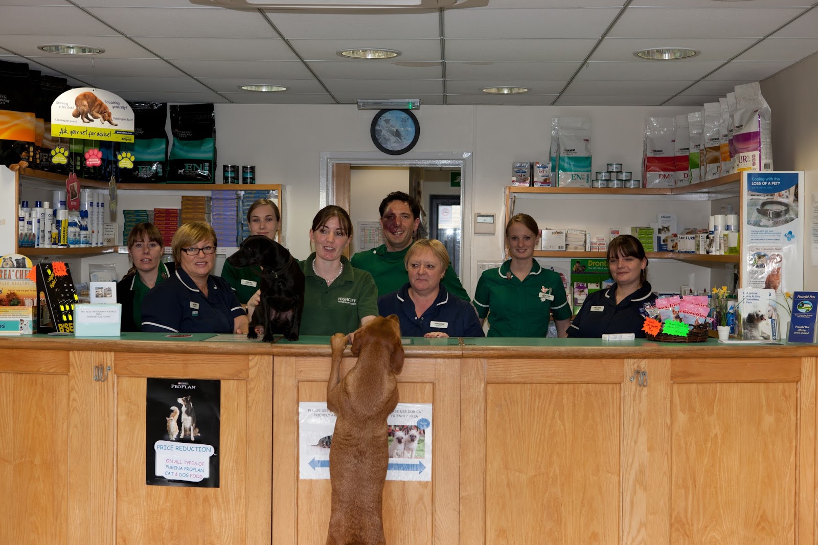 Highcliff Veterinary Practice Brantham - Manningtree , United Kingdom