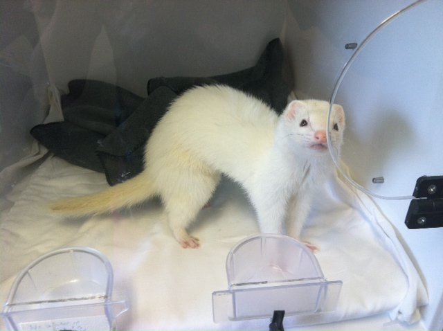 Animal And Avian Medical Center - Brunswick , United States