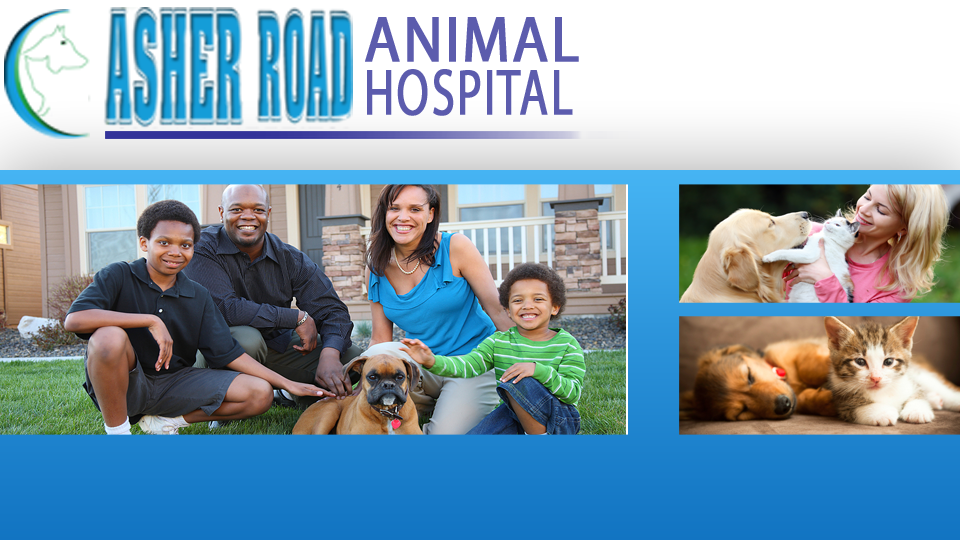Asher Road Animal Hospital - Kelowna , Canada