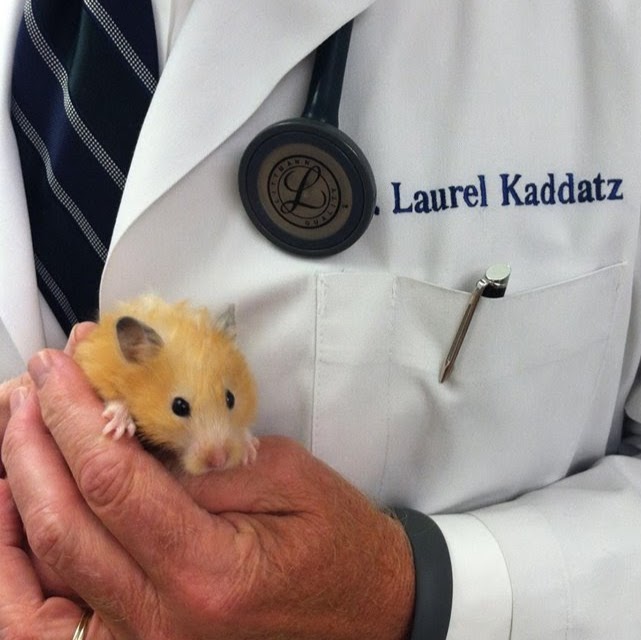 Pound Ridge Veterinary Center - Pound Ridge , United States