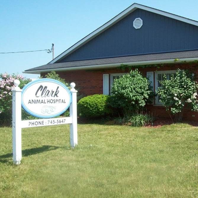 Clark Animal Hospital - Kitchener , Canada