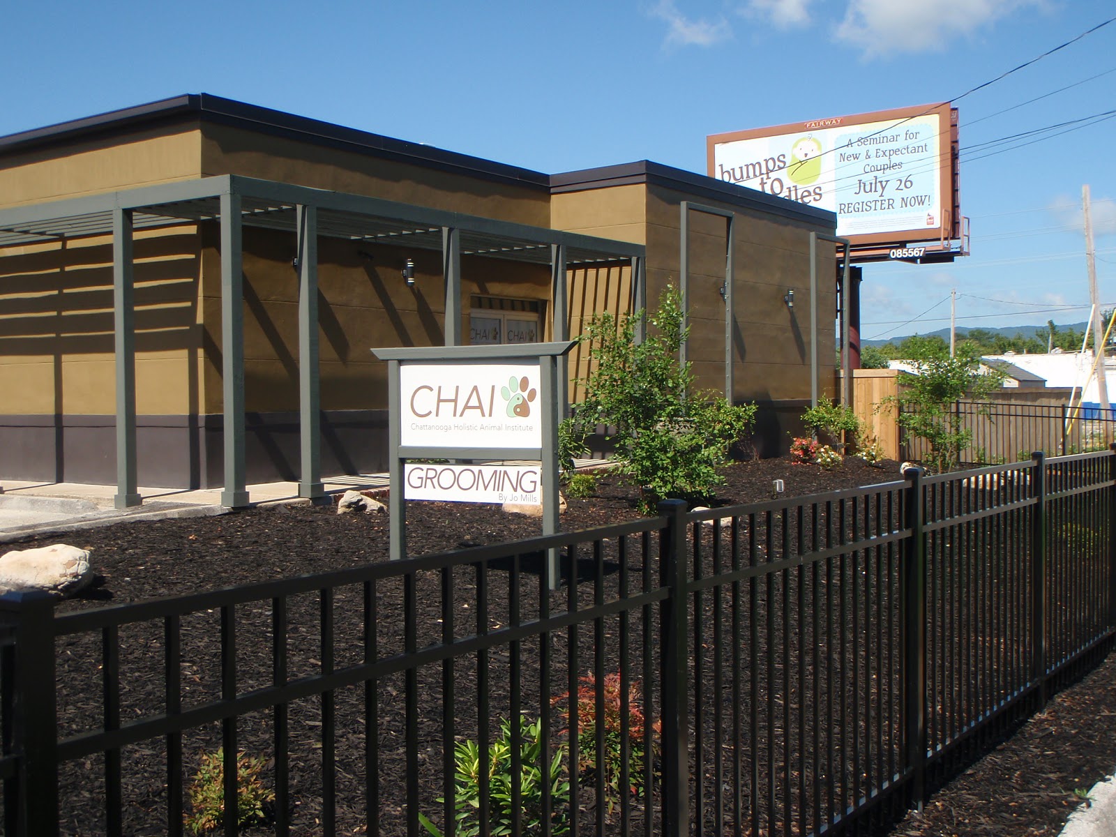 Chattanooga Holistic Animal Institute - Chattanooga , United States