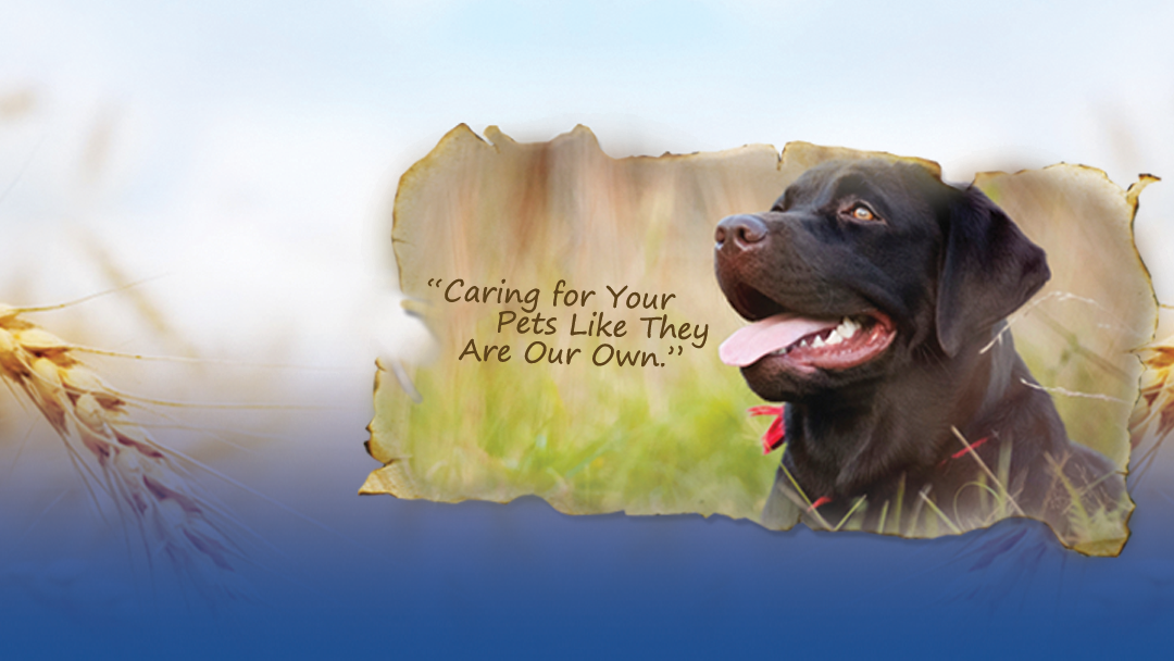 Pell City Animal Hospital - Cropwell , United States