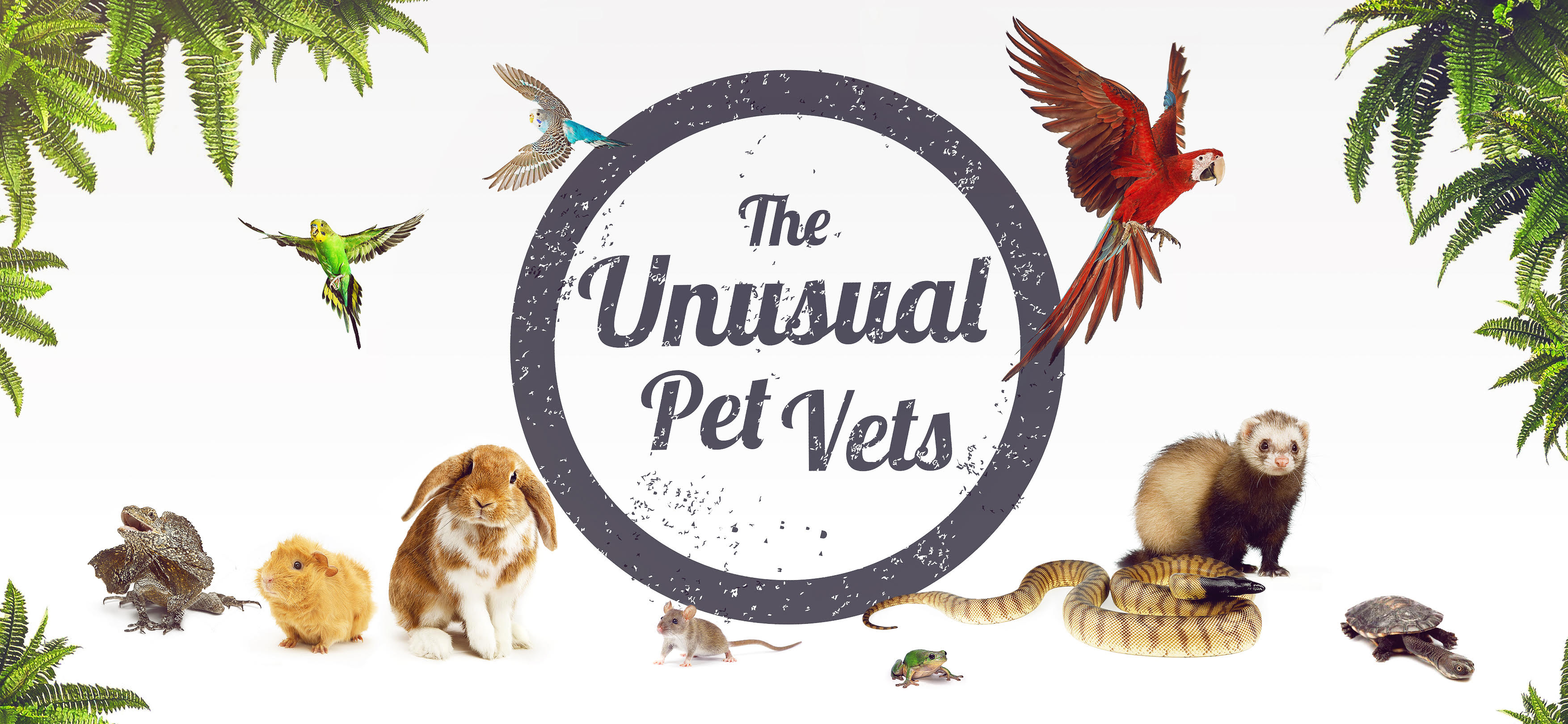 The Unusual Pet Vets Murdoch - Murdoch , Australia