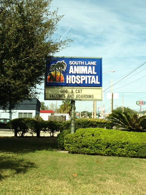 South Lane Animal Hospital - Jacksonville , United States